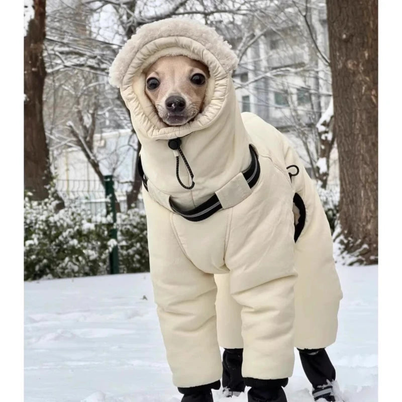 Front view of the dog snowsuit with sherpa hood